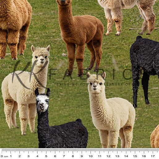 04 Mixed Alpaca Pasture Pals (6013)