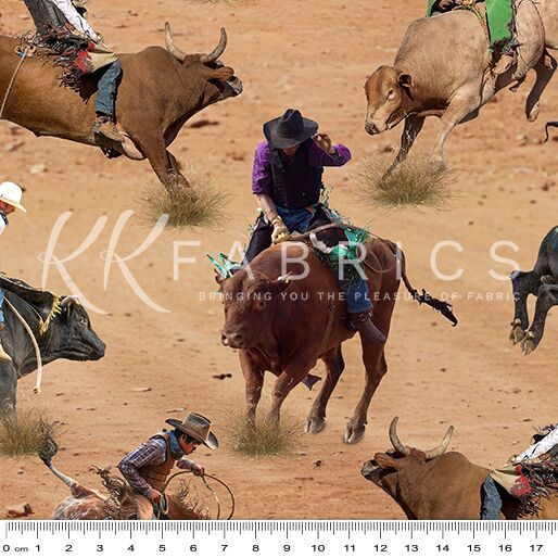 05 Cattle Rodeo Life in the Loop (6011)
