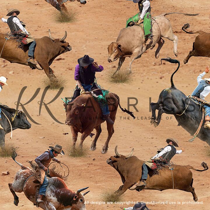 05 Cattle Rodeo Life in the Loop (6011)