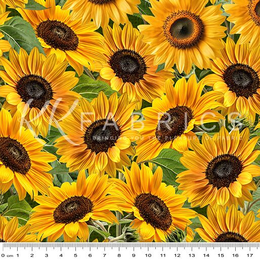 06 Sunflower Field Fields of Sunshine (6008)