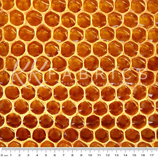 09 Honeycomb Fields of Sunshine (6008)
