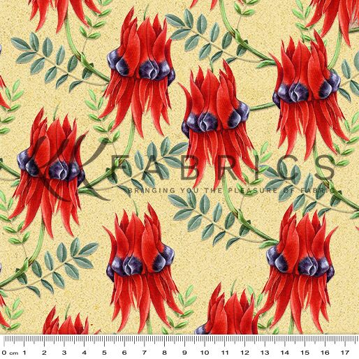 09 Sturt's Desert Pea Sand Outback Magic II (6010)