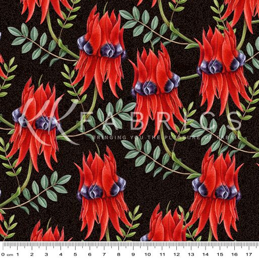 10 Sturt's Desert Pea Black Outback Magic II (6010)