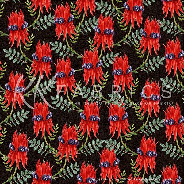 10 Sturt's Desert Pea Black Outback Magic II (6010)