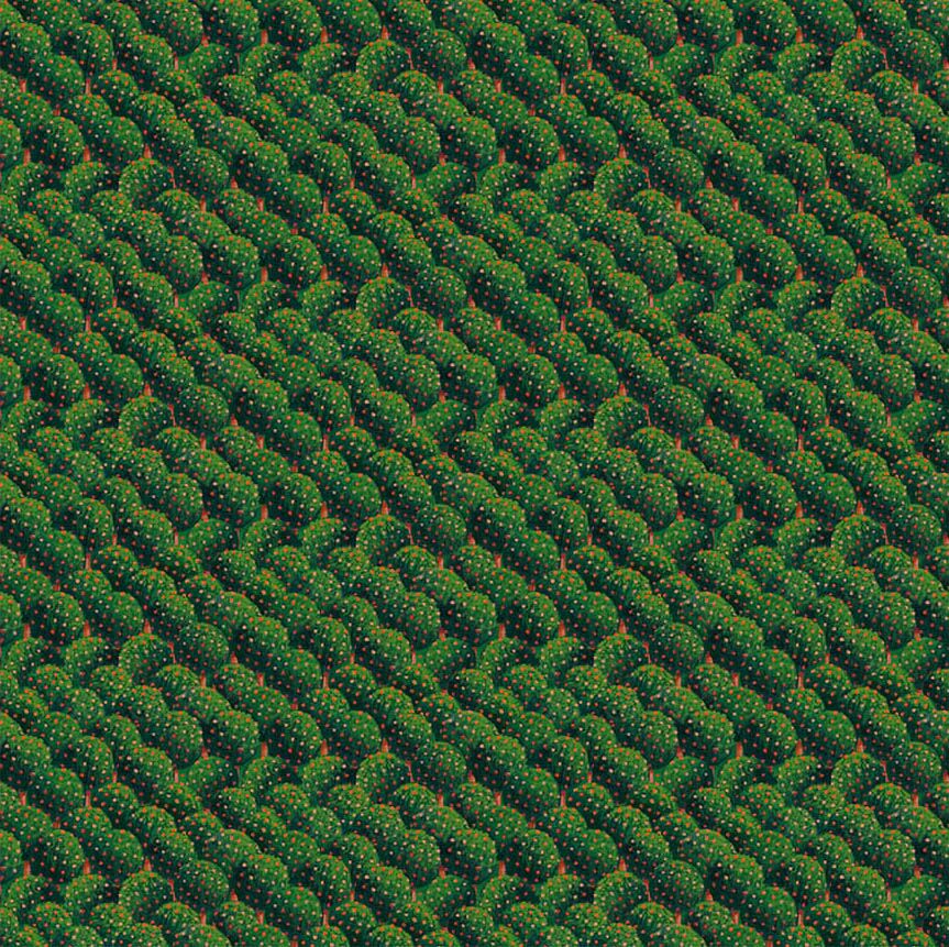 05P Orchid Fields Pine Acme Flying School (6029)
