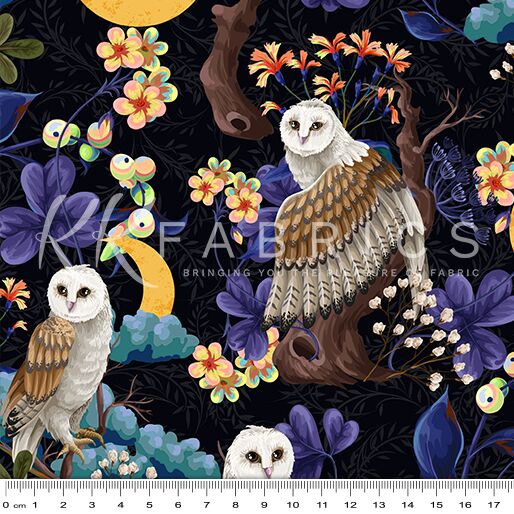 04 Night Cyan Owls of the Golden Hour (6019)