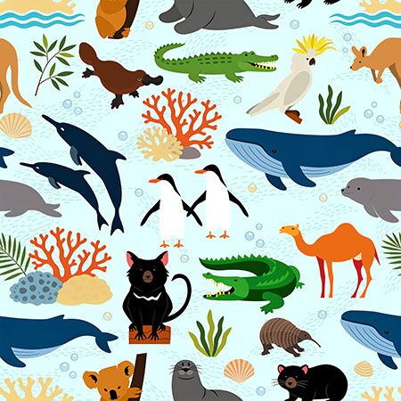 03 Animals Blue Australian Atlas (6068)