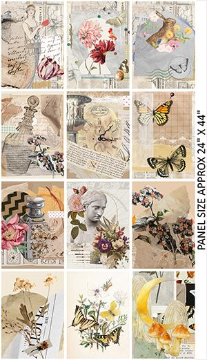 03 24 Inch Panel Collectors Cabinet Botanical Ephemera (6059)