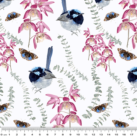05 Superb Fairy Wren F&F (6057)