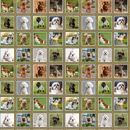 06 Boxes Cherished Companions (6069)