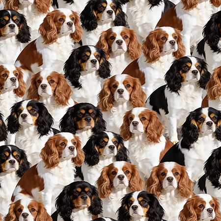 07 Cavalier King Charles Spaniel Cherished Companions (6069)