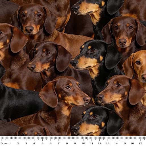 09 Dachshunds Cherished Companions (6069)