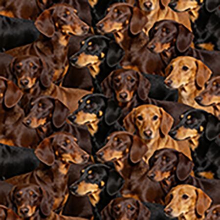 09 Dachshunds Cherished Companions (6069)